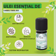 Ulei esential de Cimbru Thymol bio, 5 ml, Born to Bio 673747