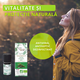 Ulei esential de Cimbru Thymol bio, 5 ml, Born to Bio 673749
