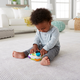Controler interactiv in limba romana, 6-36 luni, Fisher Price  484636