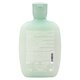 Sampon delicat calmant Scalp Relief, 250 ml, Alfaparf 806318