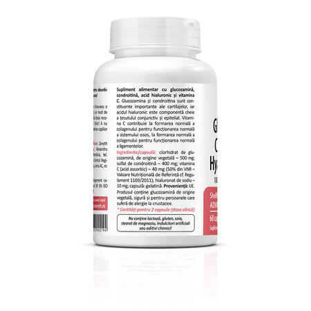 Glucosamine Chondroitin Hyaluronic Acid, 60 capsule, Zenyth 772660