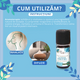 Ulei esential de dafin Nobil Bio, 5 ml, Born to Bio 673736