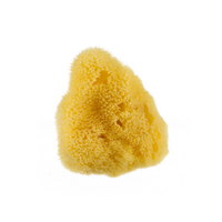 Burete natural pentru curatatea tenului, 4 g, Sabio