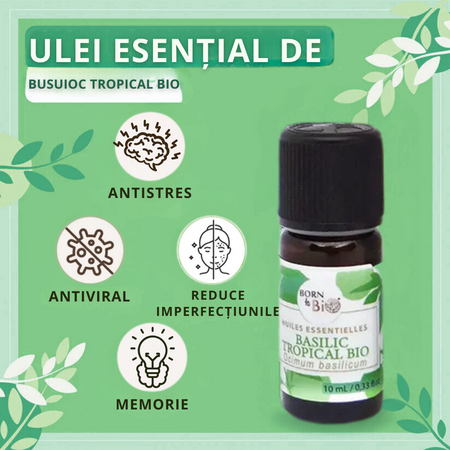 Ulei esential de Busuioc Tropical Bio Tropical Bio, 10 ml, Born to Bio 673720