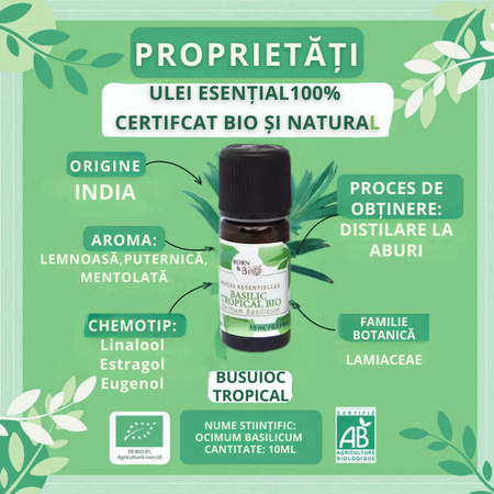 Ulei esential de Busuioc Tropical Bio Tropical Bio, 10 ml, Born to Bio 673721