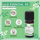 Ulei esential de Busuioc Tropical Bio Tropical Bio, 10 ml, Born to Bio 673720