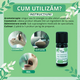 Ulei esential de Busuioc Tropical Bio Tropical Bio, 10 ml, Born to Bio 673723