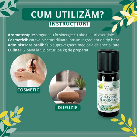 Ulei esential de Eucalipt Citronat Bio, 10 ml, Born to Bio 673698