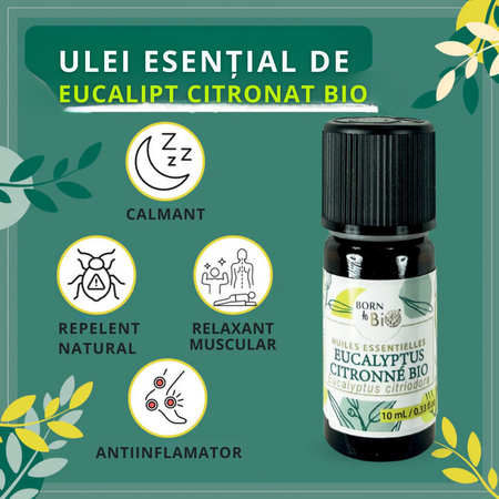 Ulei esential de Eucalipt Citronat Bio, 10 ml, Born to Bio 673695