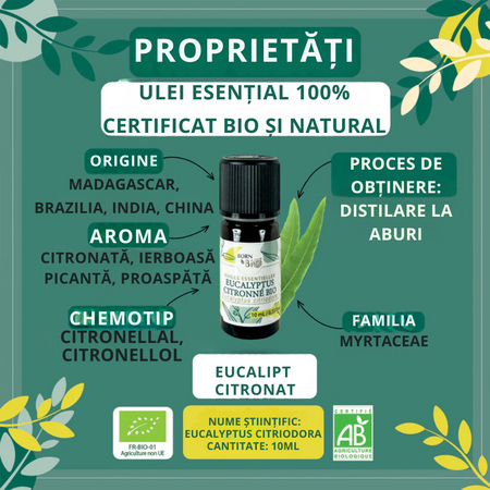 Ulei esential de Eucalipt Citronat Bio, 10 ml, Born to Bio 673696
