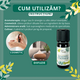 Ulei esential de Eucalipt Citronat Bio, 10 ml, Born to Bio 673698