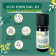 Ulei esential de Eucalipt Citronat Bio, 10 ml, Born to Bio 673695