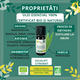 Ulei esential de Eucalipt Citronat Bio, 10 ml, Born to Bio 673696