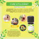 Ulei esential de Lamaie Verde Bio, 5 ml, Born to Bio 673705