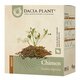 Ceai de chimen, 100 g, Dacia Plant 791204