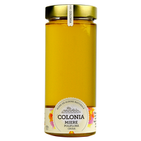Miere poliflora cruda, 800 g, Colonia
