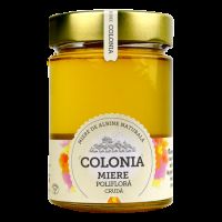 Miere poliflora cruda, 420 g, Colonia