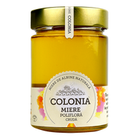 Miere poliflora cruda, 420 g, Colonia