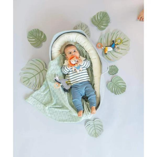 Jucarie zornaitoare Zebra Dizi, +0 luni, Taf Toys 489858