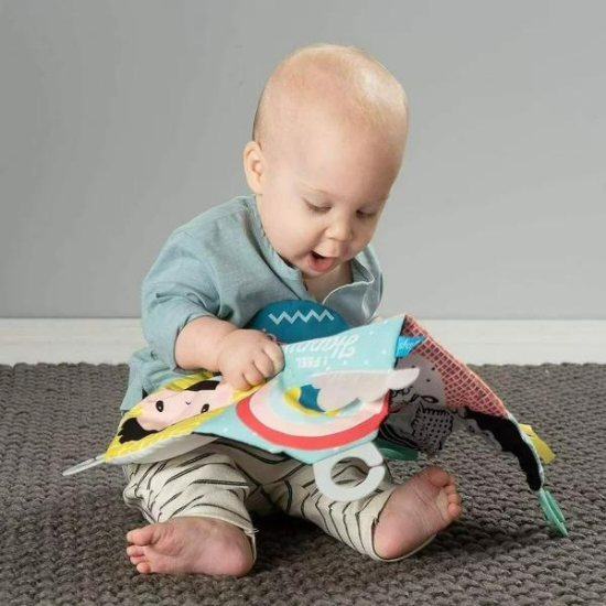 Jucarie Carticica Sentimentele Mele, +0 luni, Taf Toys 490007
