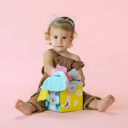 Cutia cu batiste Koala Kimmy, +9 luni, Taf Toys 490073