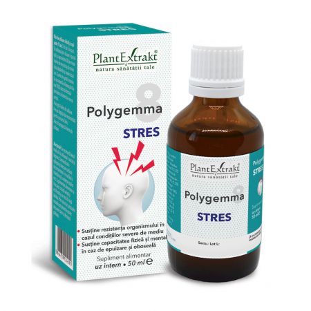 Polygemma 8, Stres