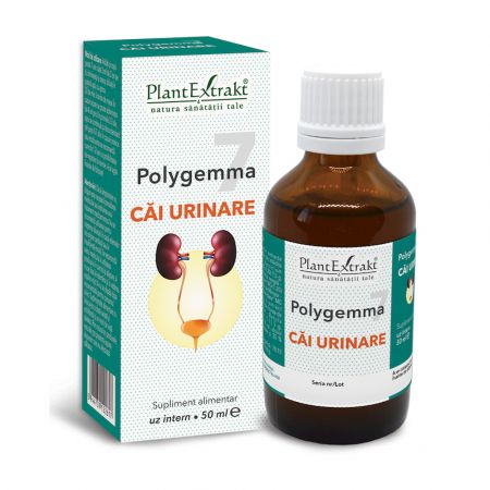 Polygemma 7, Cai urinare