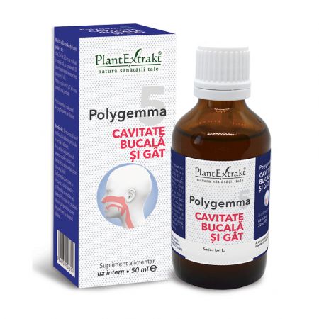 Polygemma 5, Cavitate Bucala si Gat