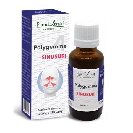 Polygemma 4 Sinusuri