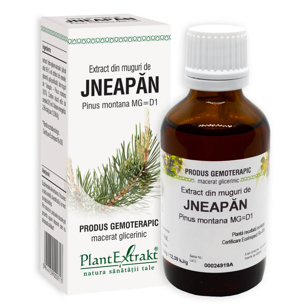 Extract din muguri Jneapan, 50 ml, PlantExtrakt