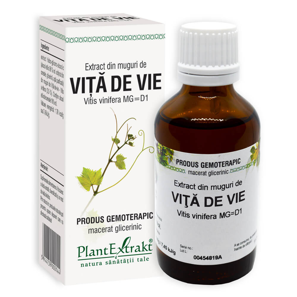 Extract din muguri de Vita de Vie, 50 ml, PlantExtrakt