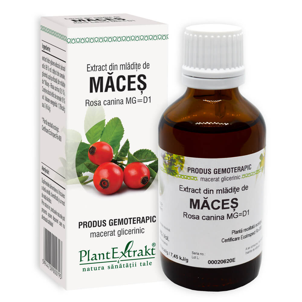 Extract din mladite de Maces, 50 ml, PlantExtrakt