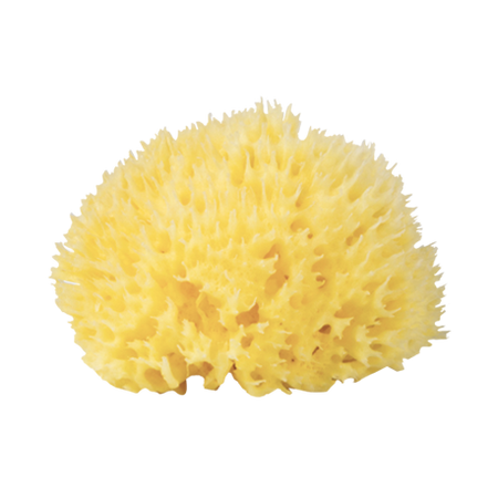 Burete natural de mare Honeycomb nr.12, in gentuta
