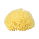 Burete natural de mare Honeycomb nr.12, in gentuta, Babu 490456