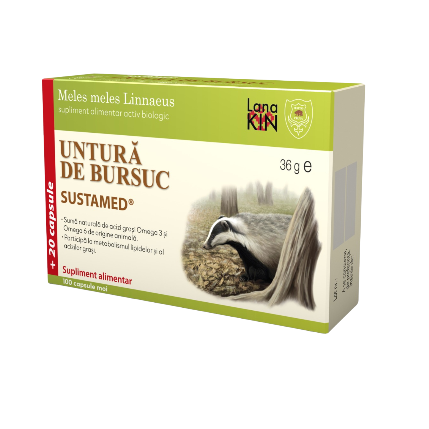 Untura de bursuc, 120 capsule, Sustamed