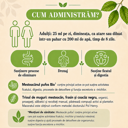 Suc de mesteacan Bio, 200 ml, Santarome 806071