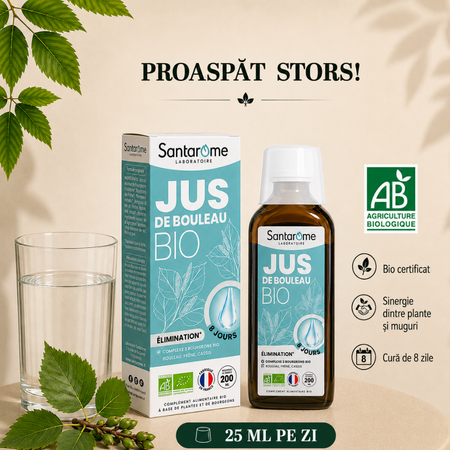 Suc de mesteacan Bio, 200 ml, Santarome 806070
