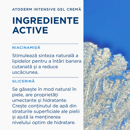 Gel crema Intensive Atoderm, 200 ml, derma 817550
