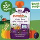 Piure Bio de dovleac, pere, mere, prune si ovaz, +8 luni, 100 g, Pumpkin Organics 672679