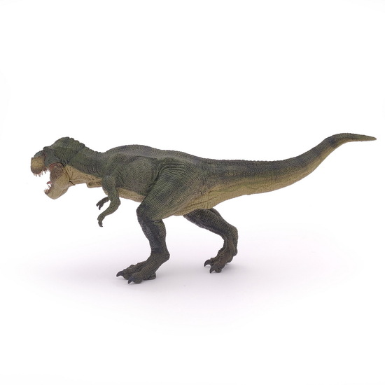 Figurina Dinozaur T-Rex Verde, +3 ani, Papo 495028