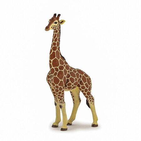 Figurina Girafa mascul