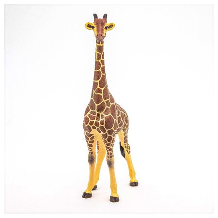 Figurina Girafa mascul, +3 ani, Papo 495040