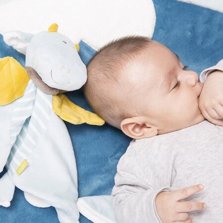 Jucarie Doudou Dragonul Magic, +0 luni, Fehn 496299