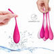 Kegel Fit set de antrenament vaginal, 6 buc, Leslie 496932