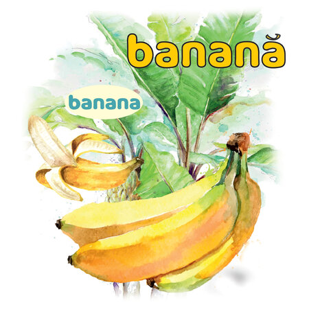 Barba Alba ne invata fructele exotice, Top Publishing 497285