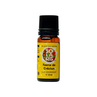 Ulei odorizant Feerie de Craciun, 10 ml, Solaris