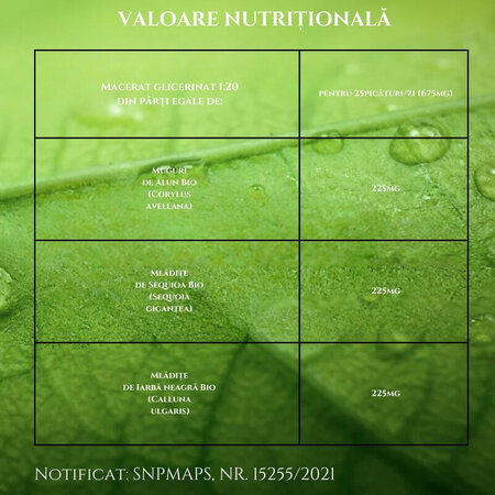 Prostata Mix 3 Muguri Bio, 30 ml, Santarome 615549