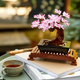 Bonsai, +18 ani, 10281, Lego Botanical Colection 612295