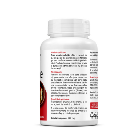 Berberine, 500 mg, 60 capsule, Zenyth 674977
