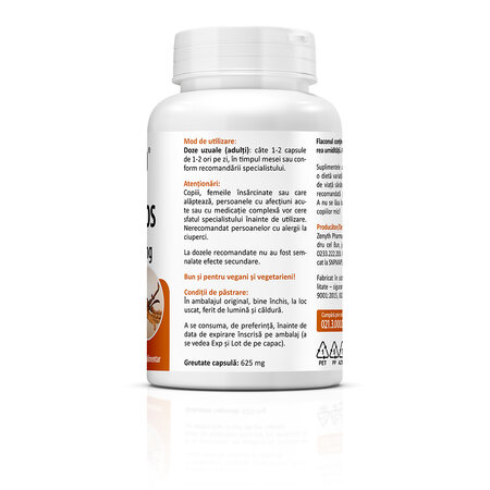 Cordyceps CS-4, 500 mg, 60 capsule, Zenyth 772817